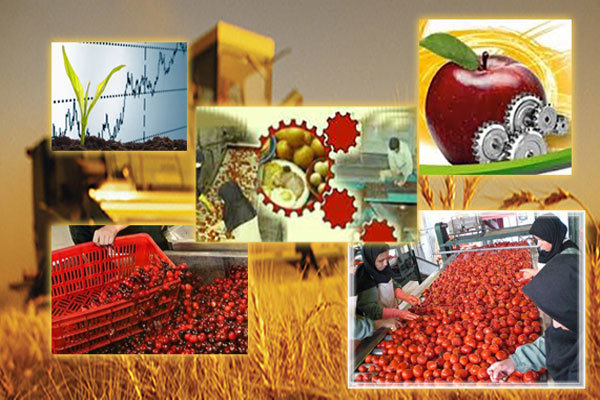 سهم ۱۱ درصدی بخش کشاورزی و صنایع غذایی از صادرات غیرنفتی 