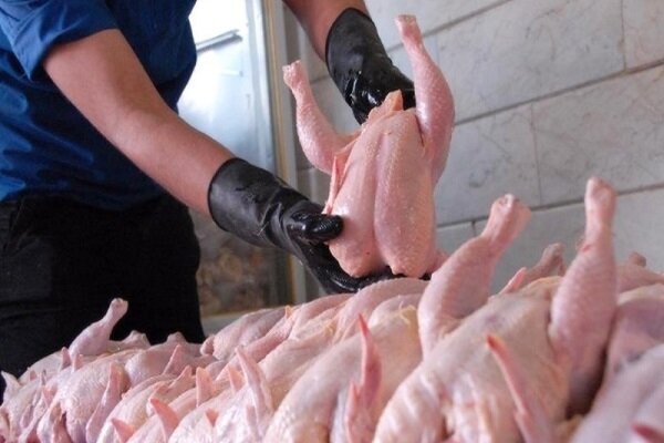 توافق بر سر افزایش قیمت مرغ / افزایش قیمت مصرف‌کننده از ۶۳ به ۷۳ هزار تومان