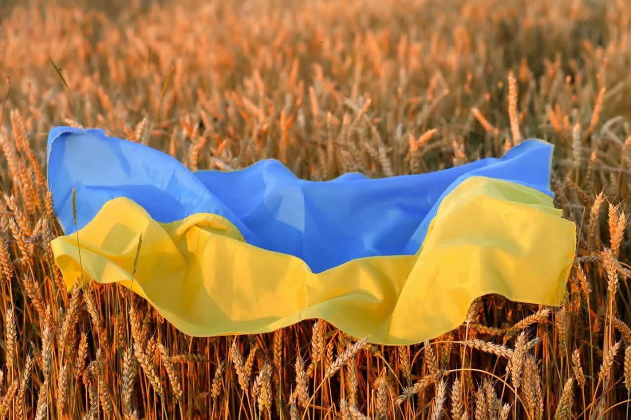 تاثیر اعمال تحریم ۵۰ ساله از سوی اوکراین بر امنیت غذایی ایران چیست؟