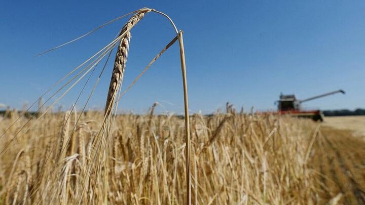 تهدید جدید محصولات کشاورزی؛ کودهای بی‌کیفیت یارانه ای