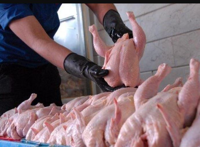 گوشت مرغ در آستانه عید کیلویی چند؟ + جدول قیمت