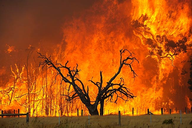 استرالیا غرق در دود و آتش
