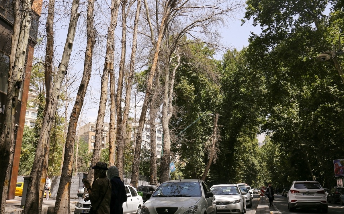 خاطره انگیزترین خیابان تهران چگونه ساخته شد؟ + عکس