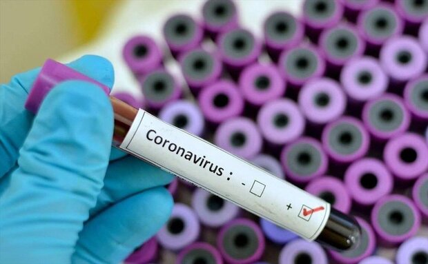 تأیید ابتلای سه مورد جدید به کروناویروس