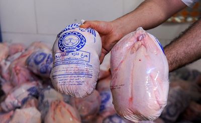 قیمت مرغ در هفته‌های آینده افزایش می‌یابد؟