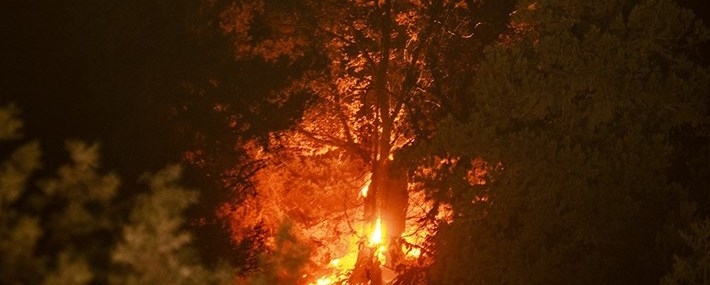 جزییات آتش سوزی در پارک پردیسان تهران