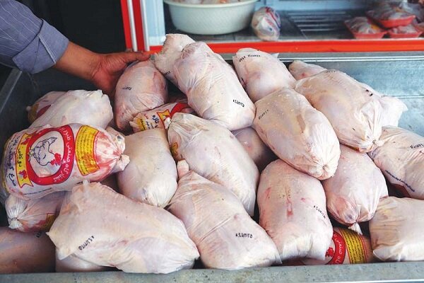 تغییرات قیمت مرغ در یک ماه اخیر/ آیا قیمت مرغ افزایش می‌یابد؟