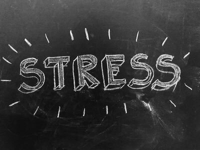 «استرس» کجای مغز ما خانه می‌کند؟