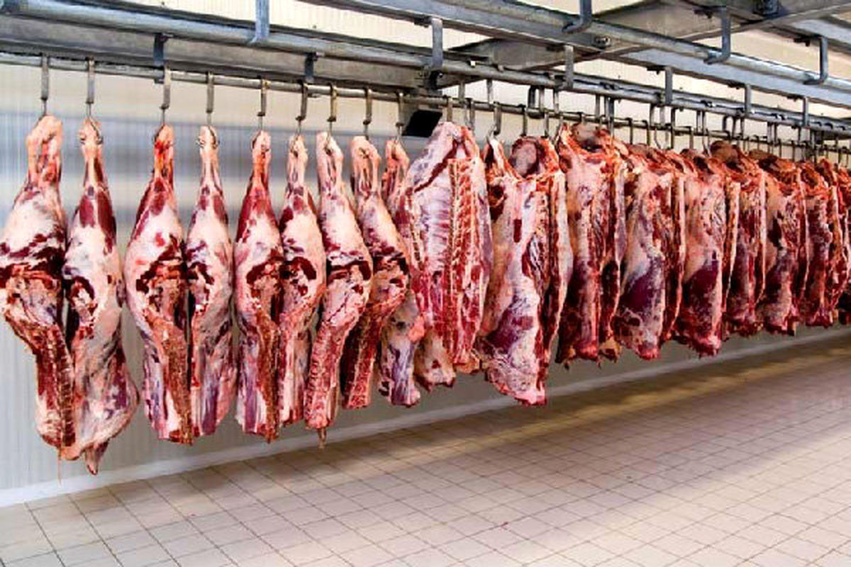 قیمت گوشت قرمز / سردست گوسفندی کیلویی چند؟