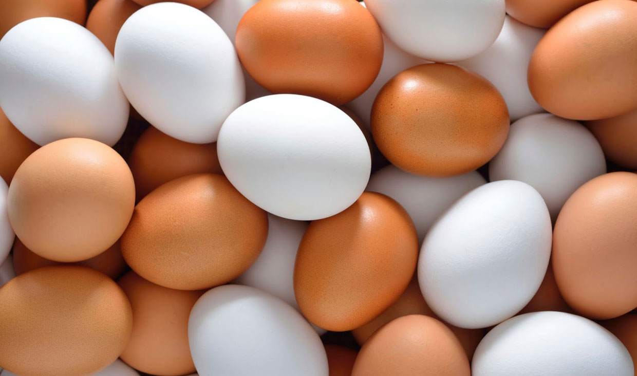 صادرات تخم مرغ با شرطی عجیب آزاد شد/ امروز صادر کنید عوارض را بر اساس نرخ آینده پرداخت کنید!
