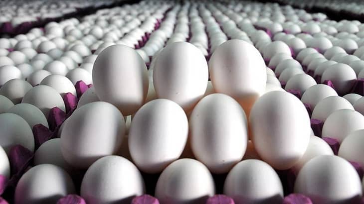 تخم مرغ در آستانه ثبت رکورد جدید گرانی