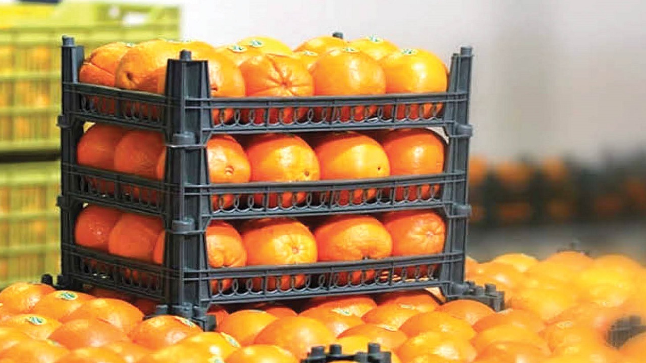 اعلام قیمت های جدید برای میوه‌های تنظیم بازاری شب عید