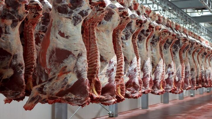 قیمت جدید گوشت قرمز / گوسفندی کیلویی چند؟