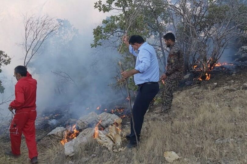 آتش سوزی در منطقه کوه دیل گچساران مهار شد