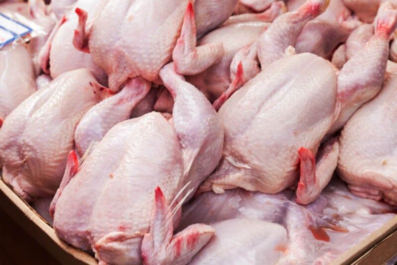 قیمت مرغ در مسیر افزایش/ افزایش ۳ هزار و ۶۰۰ تومانی قیمت مرغ نسبت به هفته گذشته