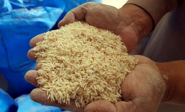 برنج خارجی  ۲۰ درصد ارزان‌تر می شود