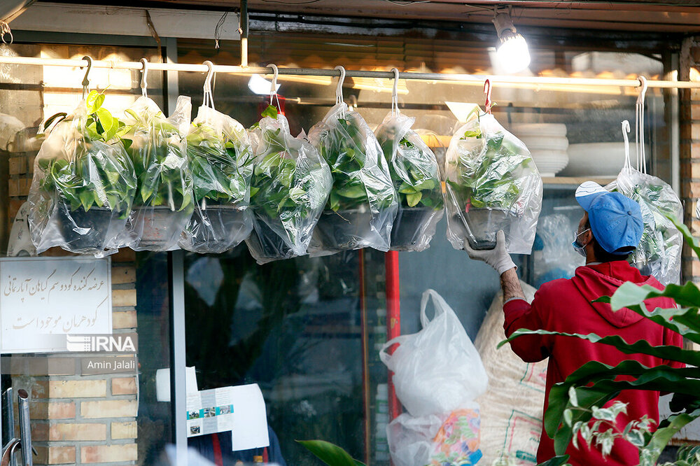 بازار بهاری گل و گیاه پایتخت در آستانه سال نو + عکس