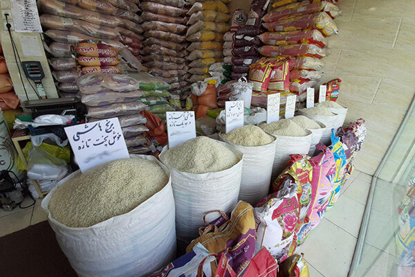 در مسئله گرانی برنج وزارت کشاورزی مقصر است