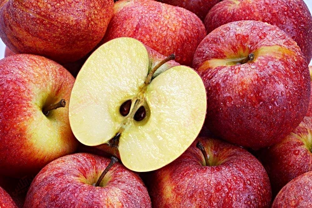 صادرات سیب متوقف شد